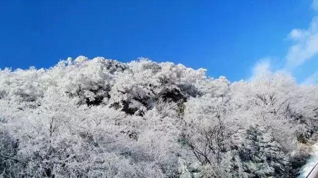 无可救药